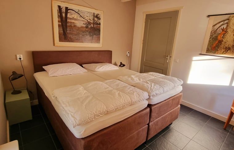 Kaninchen im Garten des Ferienhauses in Oude Willem, Suedwest-Drenthe, fuer ein spielerisches Naturerlebnis.