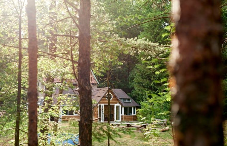 Zicht op Huisje in Oude Willem, een charmant vakantiehuis verscholen in de natuur van Zuidwest Drenthe.