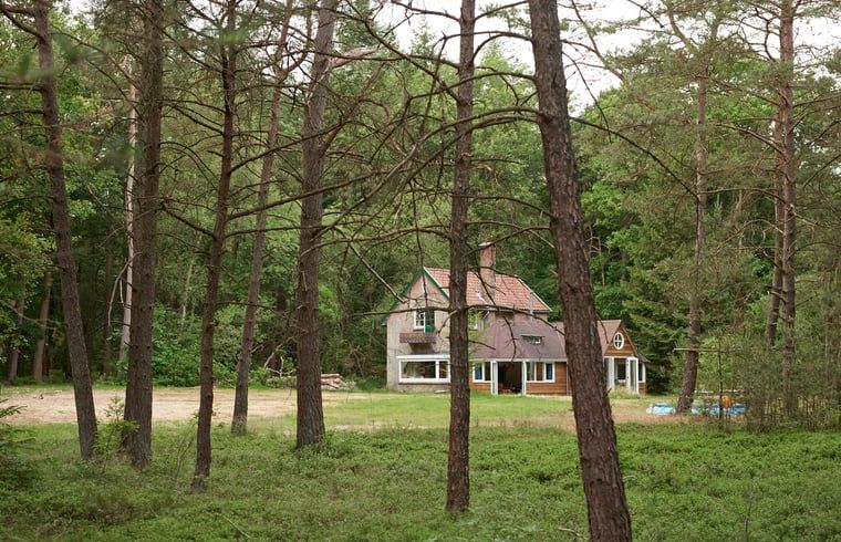 Rustiek vakantiehuis, Huisje in Oude Willem, omgeven door bomen in Zuidwest Drenthe.