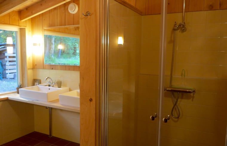 Douche en wastafel in Huisje in Oude Willem, vakantiehuis in Zuidwest Drenthe.