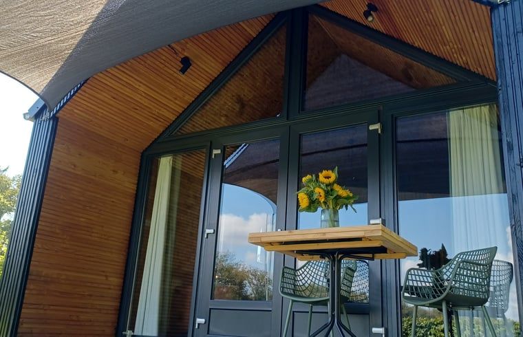 Terras van Huisje in Hollandscheveld met zonnebloemen, gelegen in Drenthe.