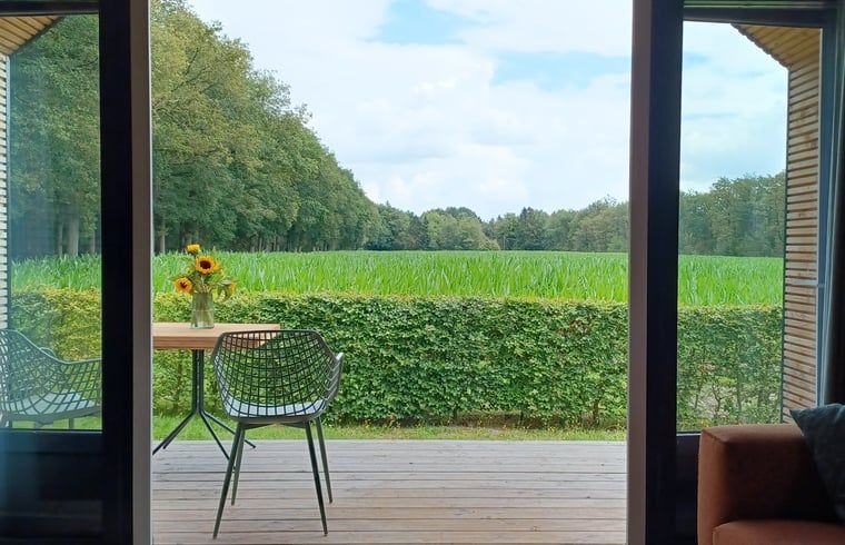 Uitzicht vanaf de binnenruimte van Huisje in Hollandscheveld op Drentse natuur.