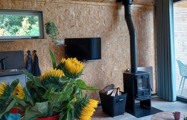 Gezellige woonkamer met houtkachel in Huisje in Hollandscheveld, Zuidwest Drenthe.
