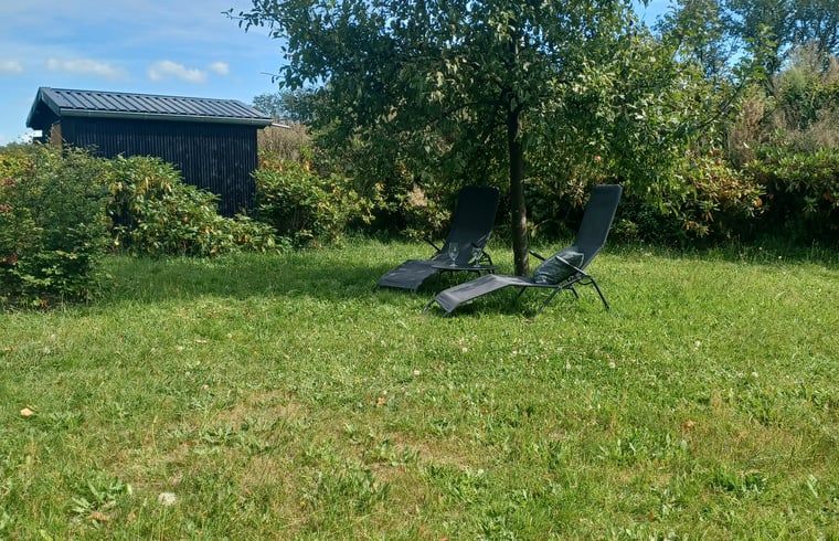 Tuin met ligstoelen bij Huisje in Hollandscheveld, omgeven door natuur.