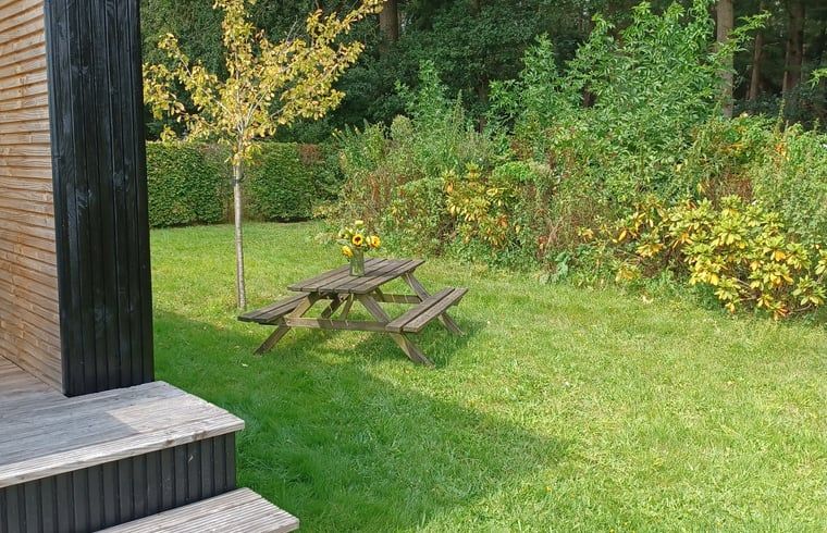 Picknicktafel in de tuin van Huisje in Hollandscheveld, Zuidwest Drenthe.