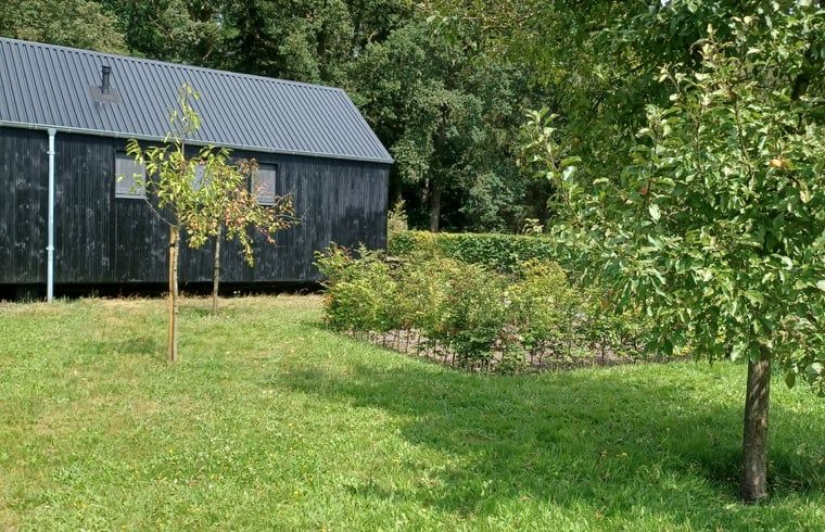 Groene omgeving rondom vakantiehuis Huisje in Hollandscheveld, Drenthe.