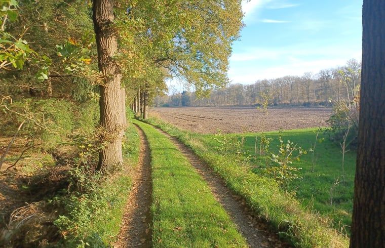 Landelijke wandelpad nabij Huisje in Hollandscheveld, Zuidwest Drenthe.