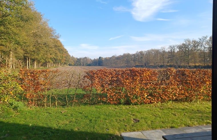 Uitzicht op velden nabij Huisje in Hollandscheveld, Zuidwest Drenthe.