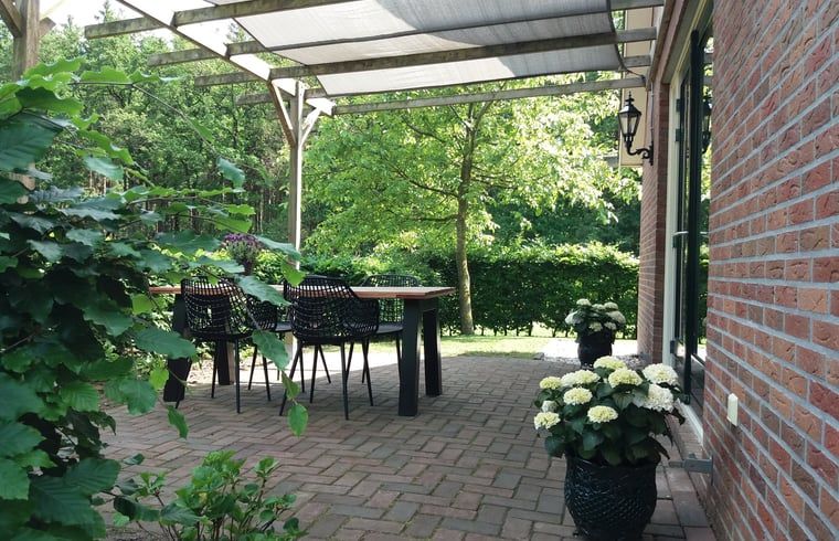 Gezellig terras bij Vakantiehuisje in Hollandscheveld in het groene Zuidwest Drenthe, Drenthe.