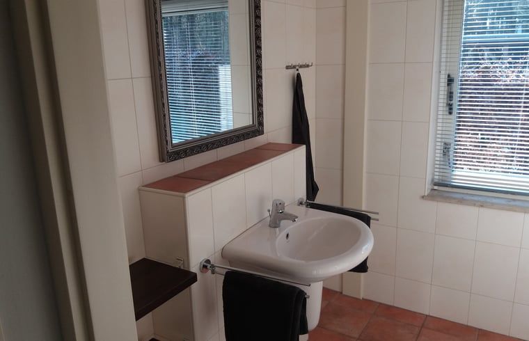 Stijlvolle badkamer in Vakantiehuisje in Hollandscheveld, Zuidwest Drenthe, Drenthe.