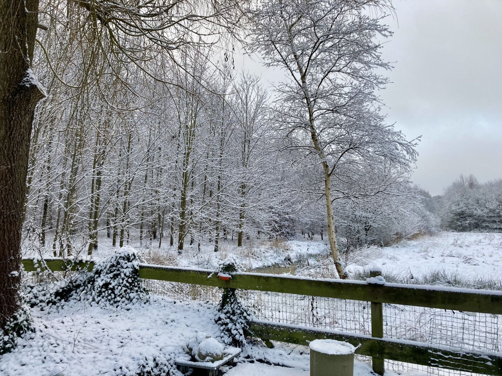 Verblijf 204116 - Vakantiewoning Zuidwest Drenthe - DG2162