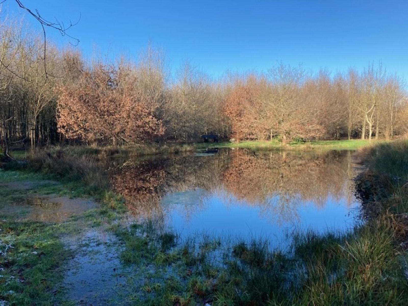 Verblijf 204116 - Vakantiewoning Zuidwest Drenthe - DG2162