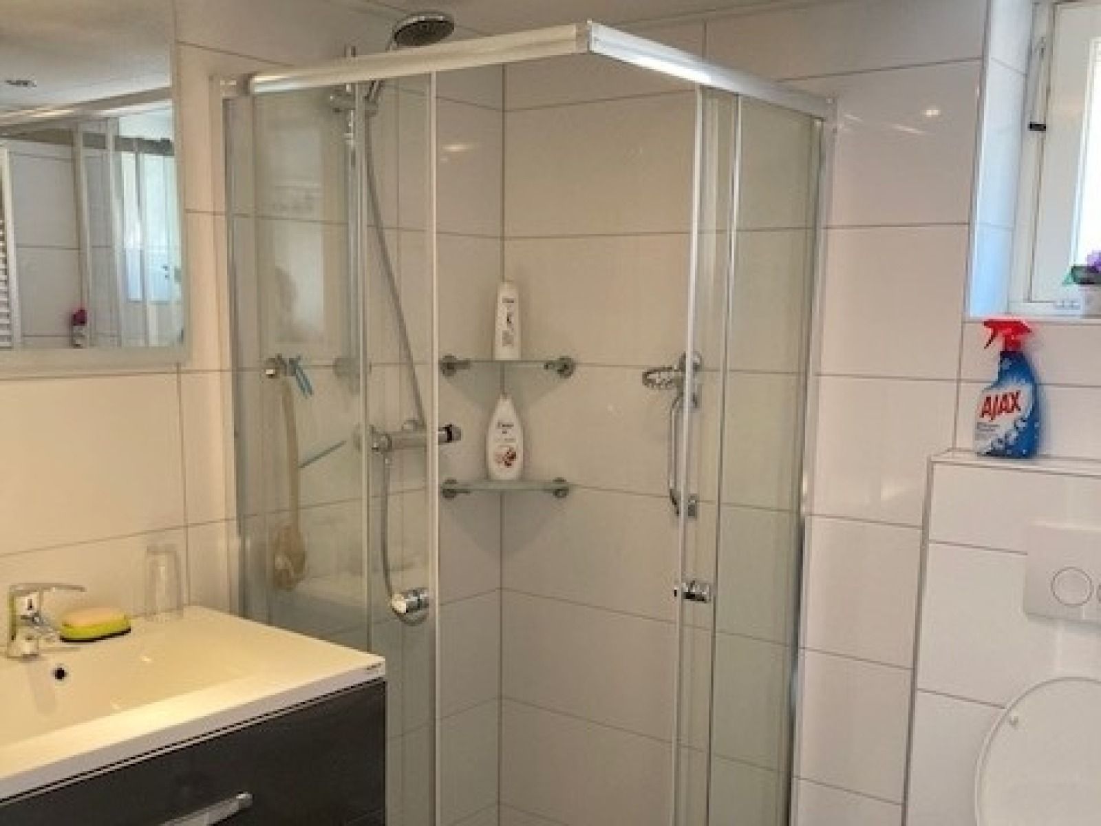 Verblijf 204116 - Vakantiewoning Zuidwest Drenthe - DG2162