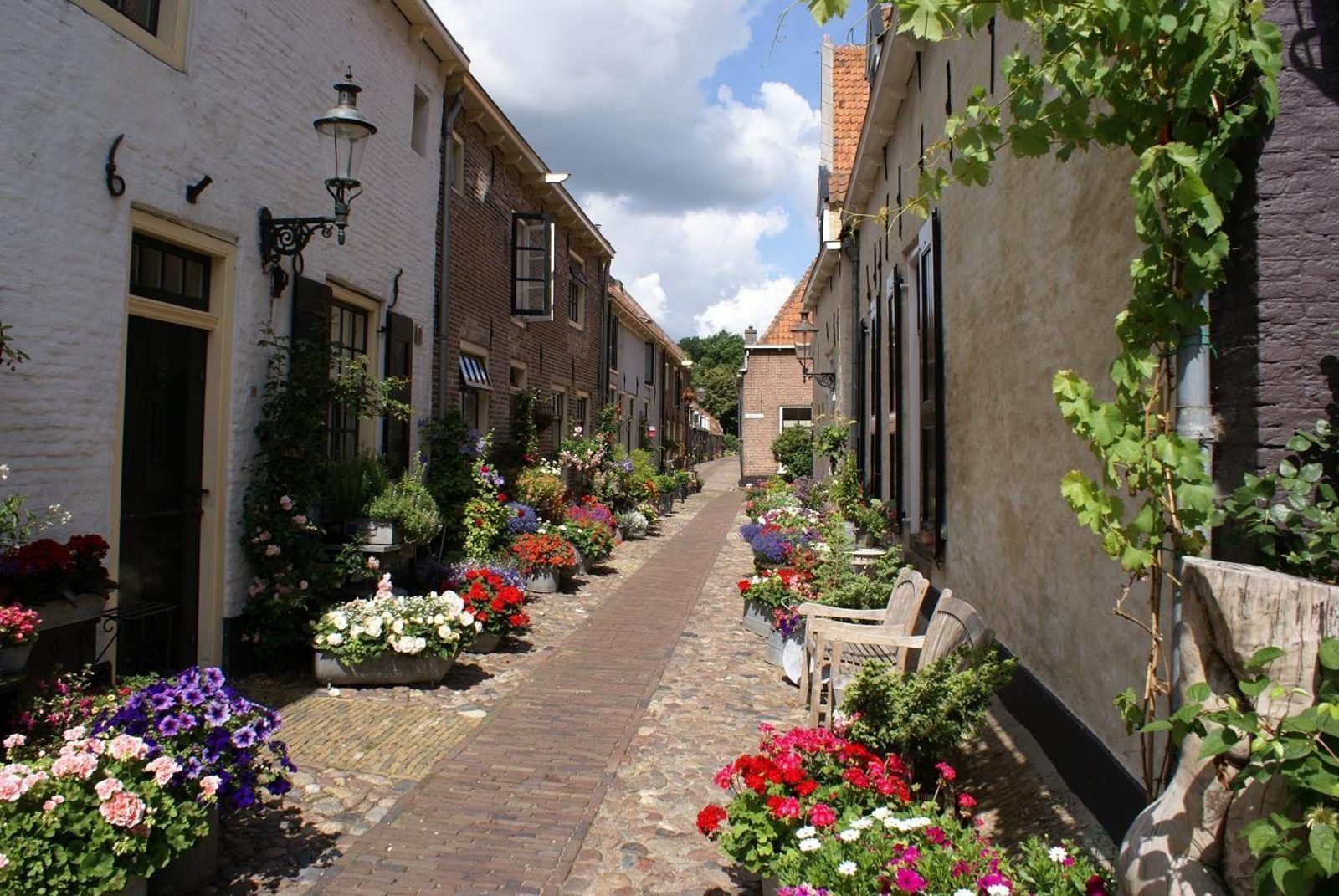 Picturesque street near Safari Tent Wood, Biddinghuizen, with colorful flowers in Flevoland.
