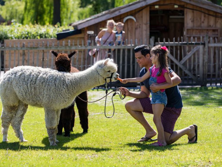 Unterkunft 2101222 - Ferienhaus Oostelijk Flevoland - Vakantiehuis Pavilion 6