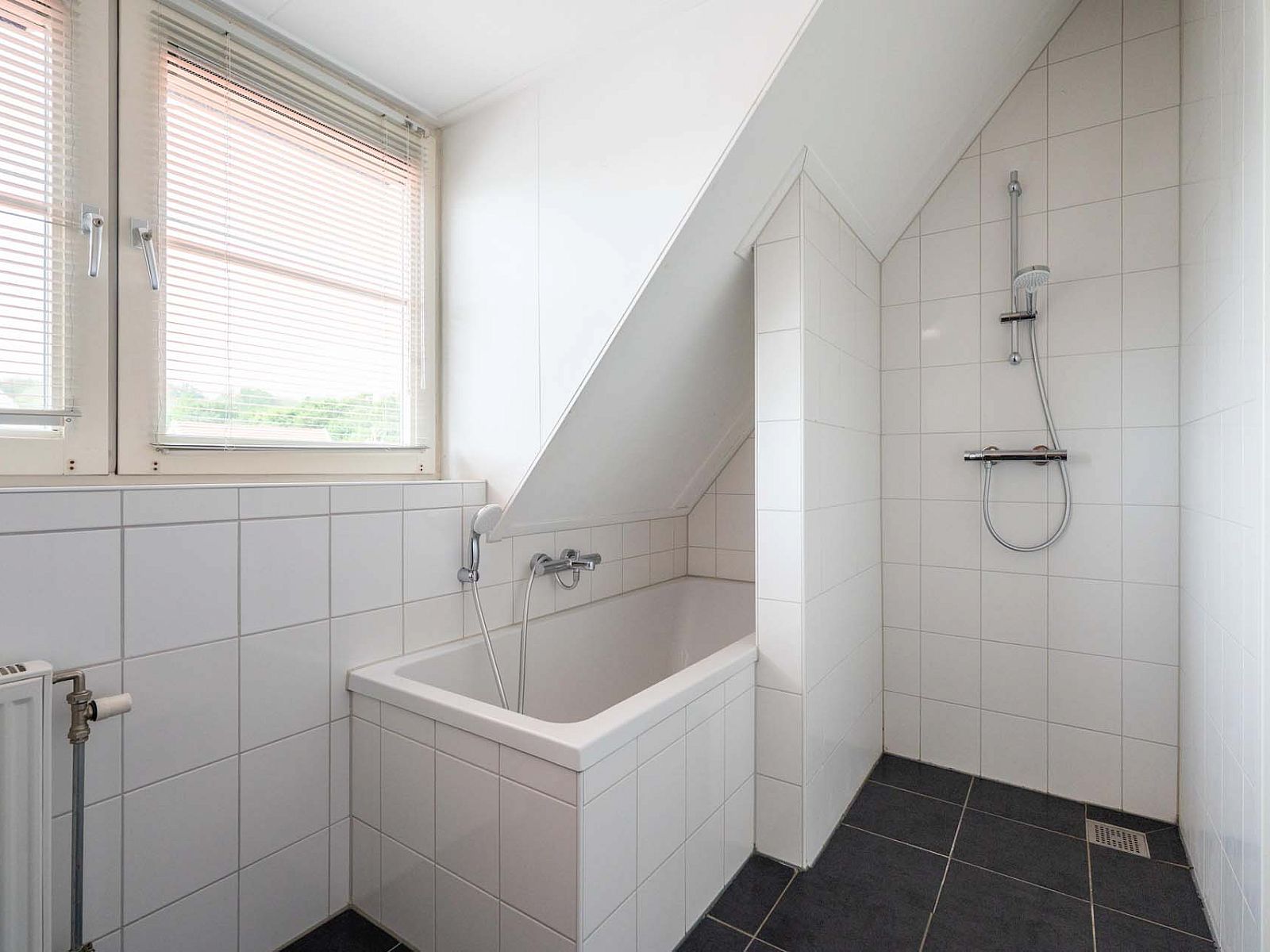 Verblijf 210135 - Vakantiewoning Oostelijk Flevoland - Vrijstaande woning in Biddinghuizen