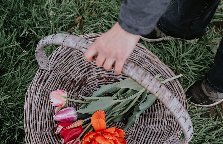 Unterkunft 210529 - Ferienhaus Oostelijk Flevoland - Vakantiehuisje in Kraggenburg