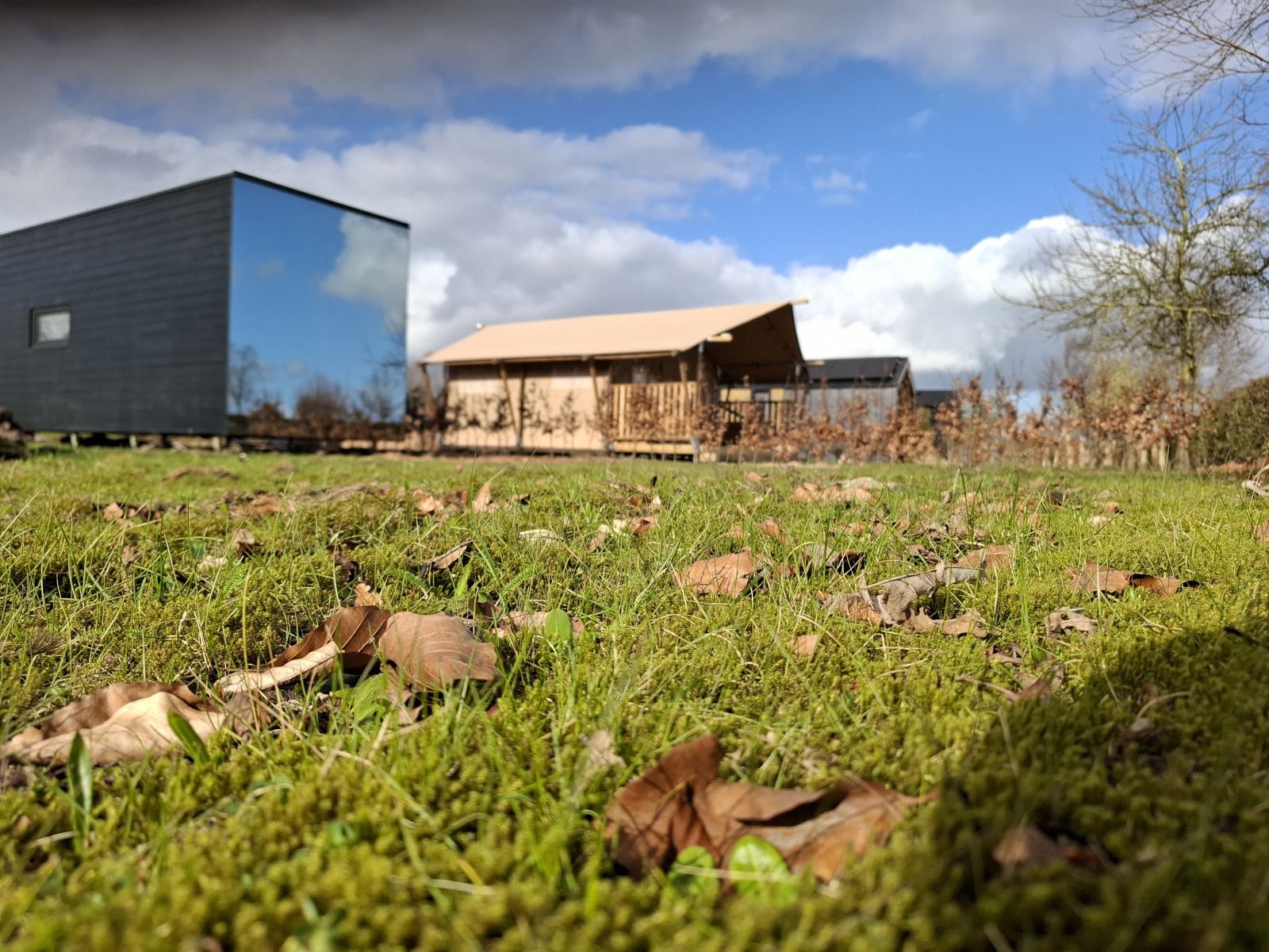 Guest house 210631 - Holiday property Oostelijk Flevoland - Tiny house met spiegelgevel