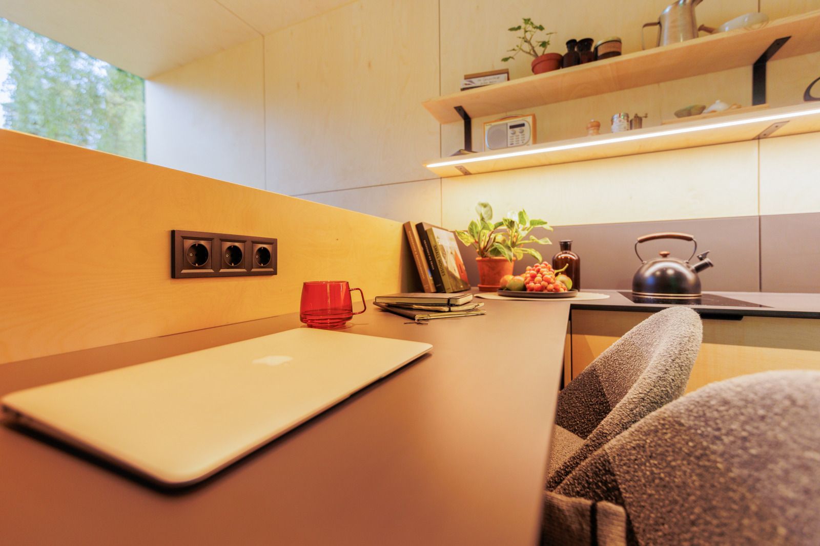 Guest house 210631 - Holiday property Oostelijk Flevoland - Tiny house met spiegelgevel