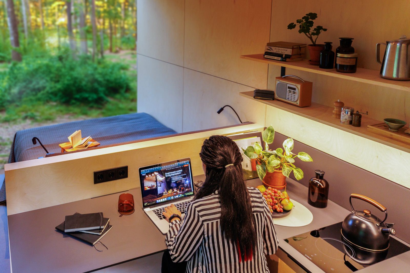 Guest house 210631 - Holiday property Oostelijk Flevoland - Tiny house met spiegelgevel