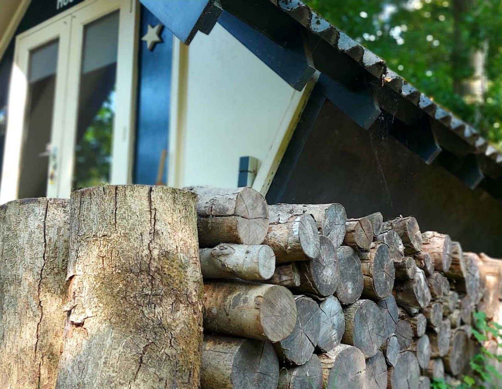 Guest house 210715 - Holiday property Oostelijk Flevoland - Trekkershut