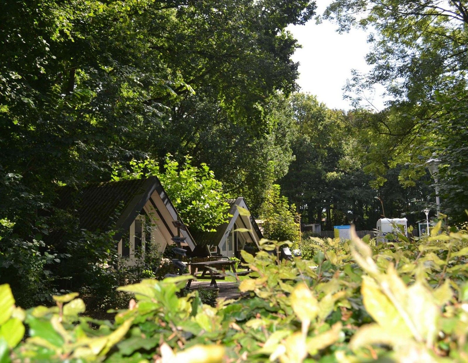 Guest house 210720 - Holiday property Oostelijk Flevoland - Trekkershut
