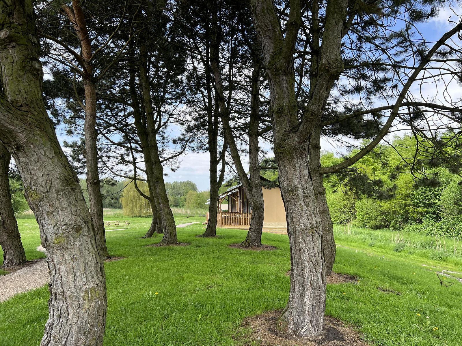 Verblijf 2202172 - Vakantiewoning Zuidelijk Flevoland - Vakantiehuis De Glamping - Sunny Lodge | 6p