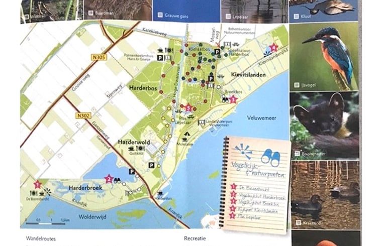 Naturreiche Karte der Umgebung des Ferienhauses in Zeewolde, Flevoland.