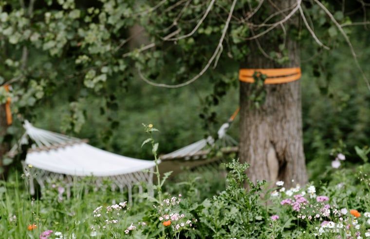 Relax in the hammock amidst nature at Holiday Home in Zeewolde, Southern Flevoland, perfect for a restful vacation.