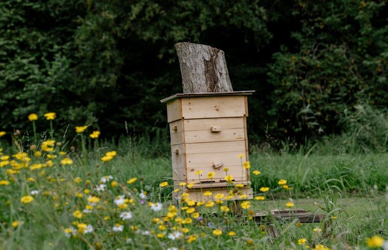 Explore the natural surroundings of Holiday Home in Zeewolde, Southern Flevoland, with a beehive amidst wildflowers.