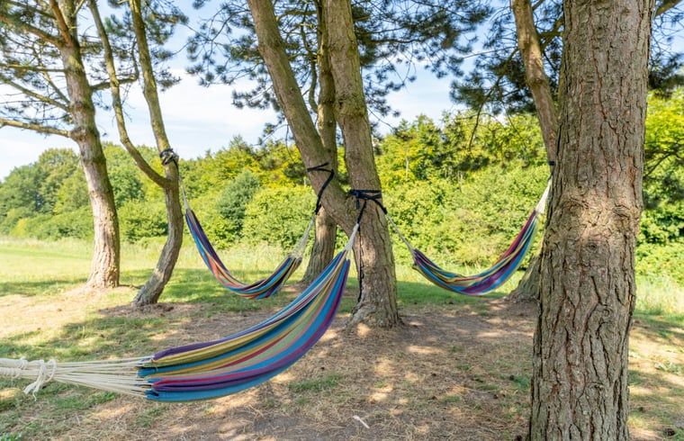 Guest house 220282 - Holiday property Zuidelijk Flevoland - Huisje in Zeewolde