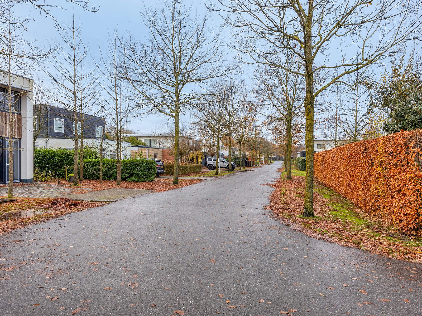 Guest house 220296 - Holiday property Zuidelijk Flevoland - Vrijstaande woning in Zeewolde