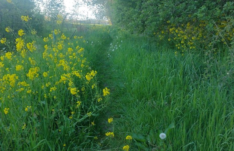 Image 13