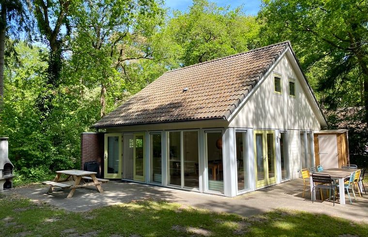 Huisje in Oudemirdum, vakantiehuis in Friese bossen, Friesland met zonnig terras en groene omgeving.