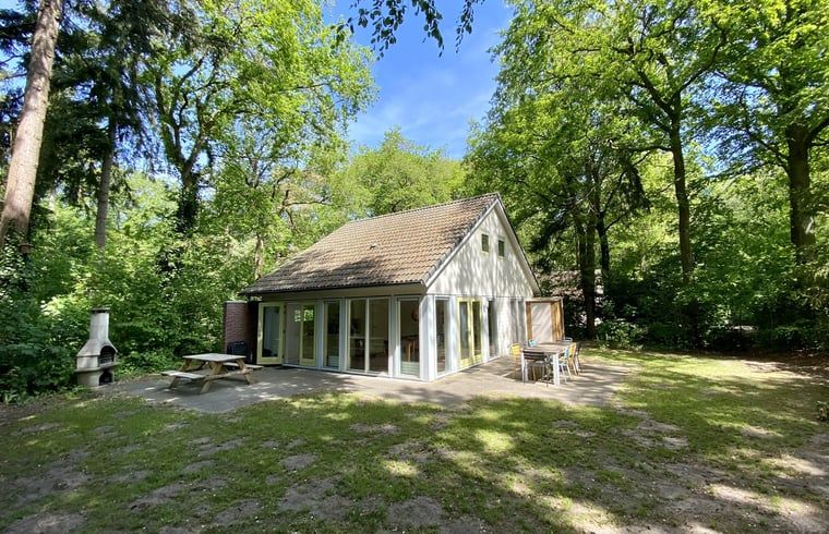 Gezellig vakantiehuis Huisje in Oudemirdum omringd door natuur in de Friese bossen, Friesland.