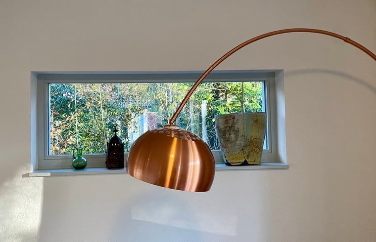 Gezellige leeshoek met lamp in Huisje in Oudemirdum, vakantiehuis in Friese bossen, Friesland.