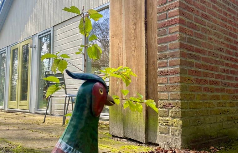 Decoratief detail in tuin van Huisje in Oudemirdum, vakantiehuis in Friese bossen, Friesland.