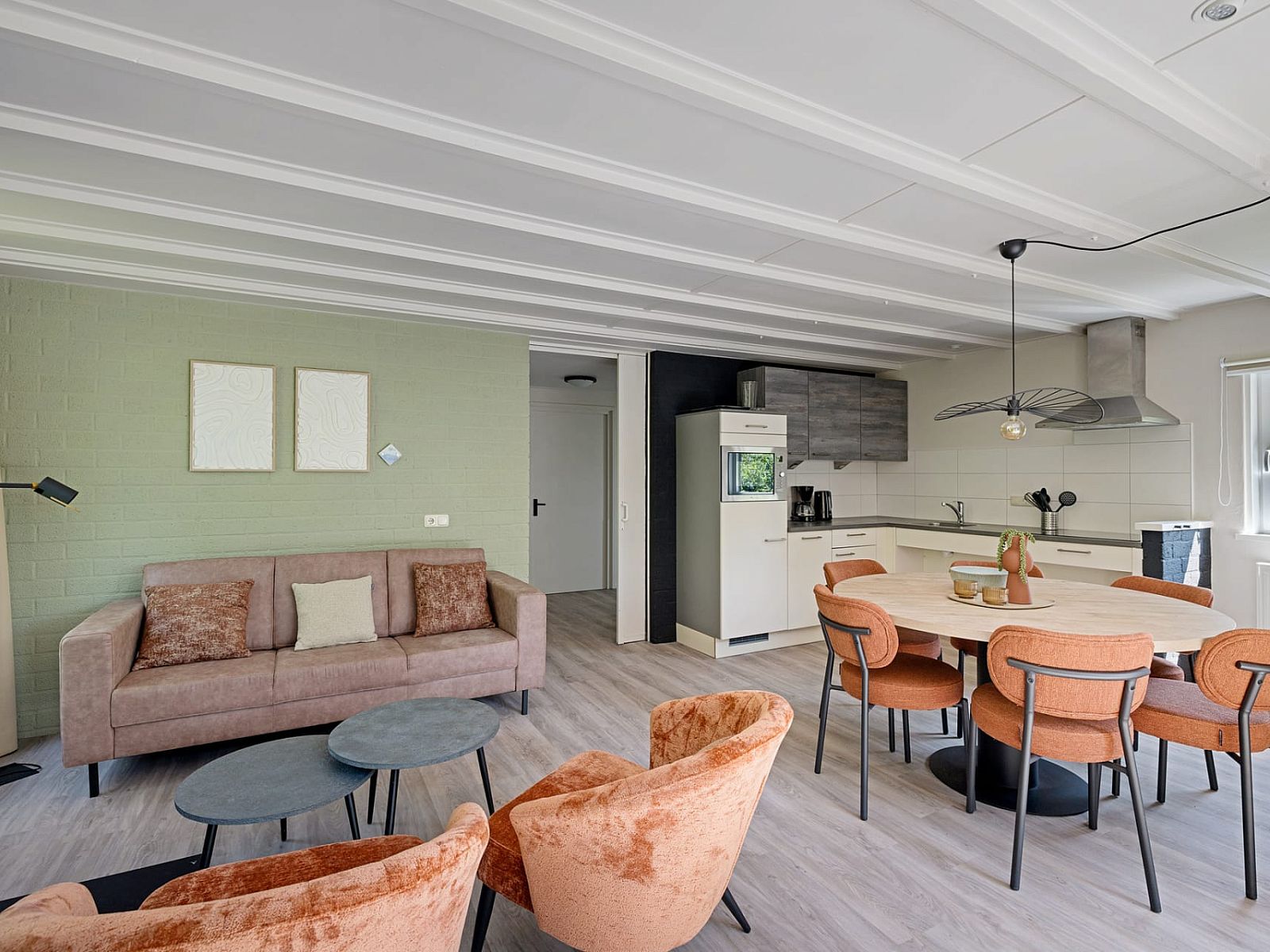 Gezellige woonkamer van Aangepaste bungalow de Dobbe in Appelscha, Friesland met moderne keuken en comfortabele zithoek.