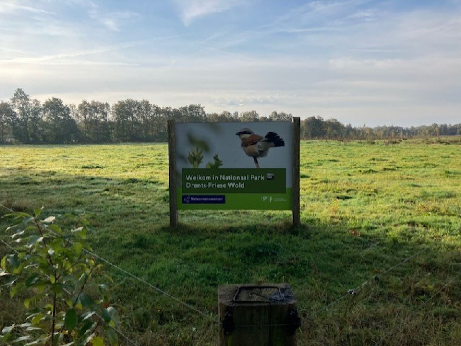 Zweites Schlafzimmer im Ferienhaus FR433, Appelscha, umgeben von friesischer Natur.