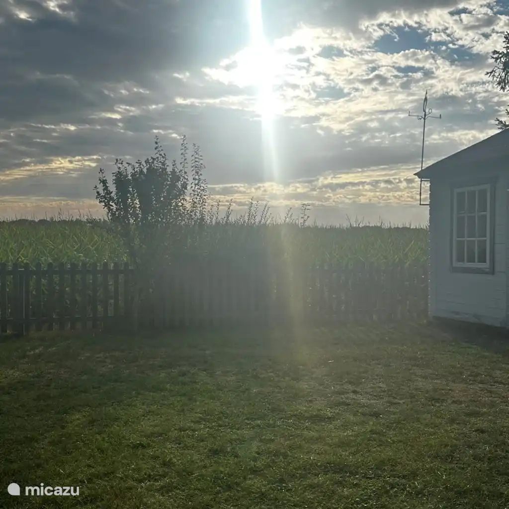 Unterkunft 2303119 - Ferienhaus Friese bossen - Ideale Vakantiewoning Appelscha