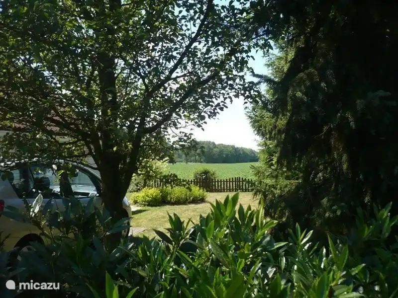 Unterkunft 2303119 - Ferienhaus Friese bossen - Ideale Vakantiewoning Appelscha