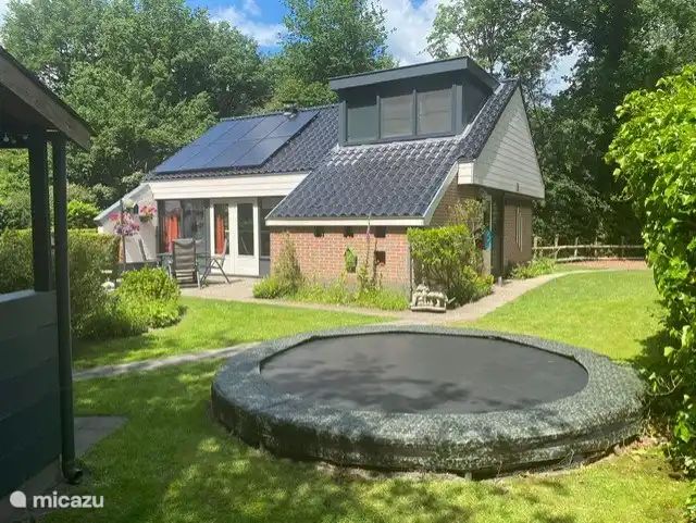 Unterkunft 2303128 - Ferienhaus Friese bossen - Boshuis Daaldersplakje