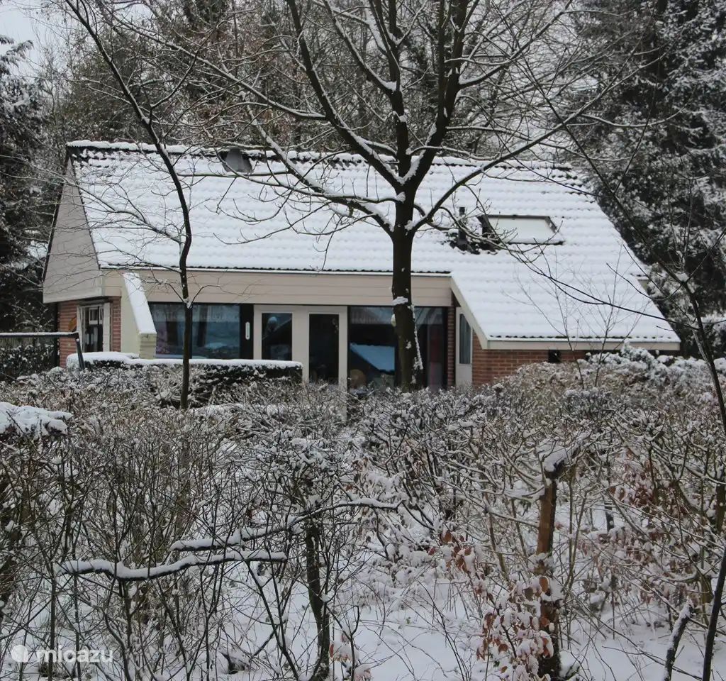Unterkunft 2303128 - Ferienhaus Friese bossen - Boshuis Daaldersplakje