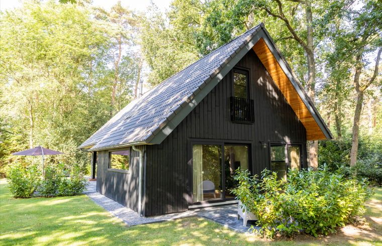 Cottage in Appelscha, a charming vacation home in the Frisian forests of Friesland, surrounded by lush nature and peaceful surroundings.
