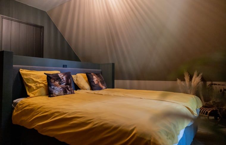 Guest house 230327 - Holiday property Friese bossen - Huisje in Appelscha