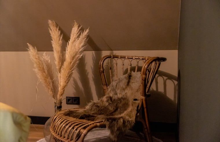 Guest house 230327 - Holiday property Friese bossen - Huisje in Appelscha