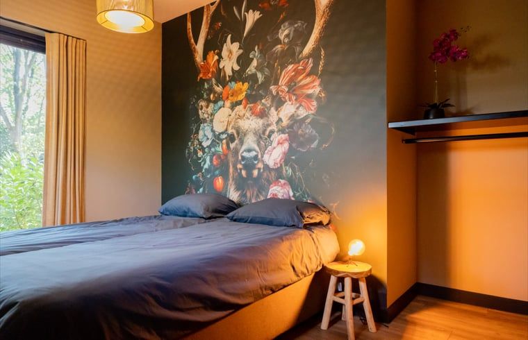 Guest house 230327 - Holiday property Friese bossen - Huisje in Appelscha