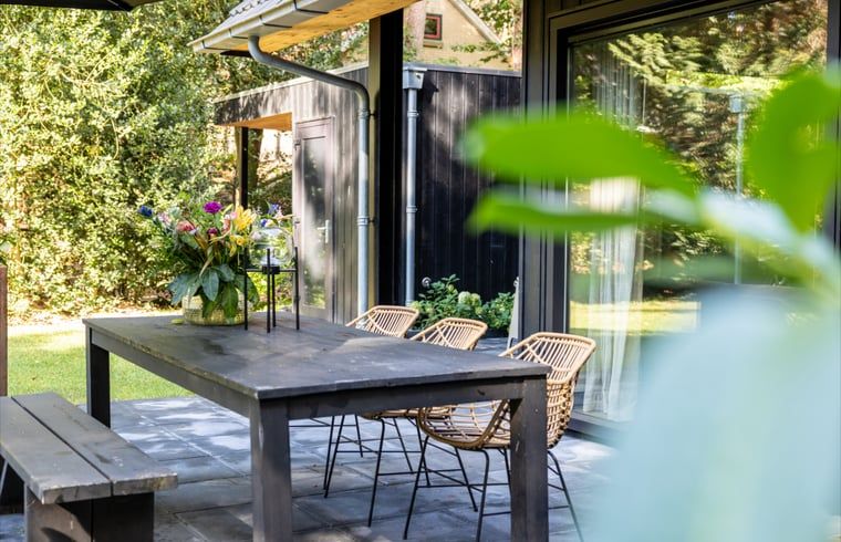 Guest house 230327 - Holiday property Friese bossen - Huisje in Appelscha