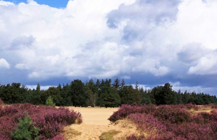 Guest house 230327 - Holiday property Friese bossen - Huisje in Appelscha