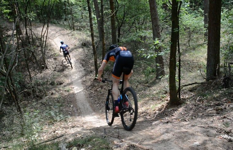 Guest house 230327 - Holiday property Friese bossen - Huisje in Appelscha